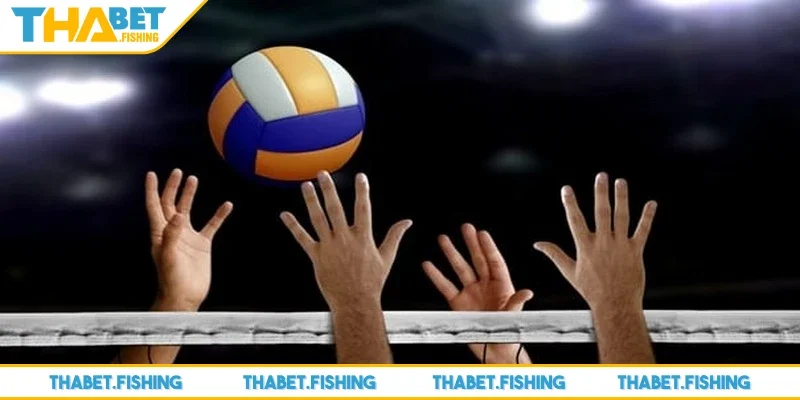 Cá cược bóng chuyền - Bộ môn giải trí xanh chín nhất 4 Kèo tài xỉu được biết đến với yếu tố dễ chơi, dễ thắng