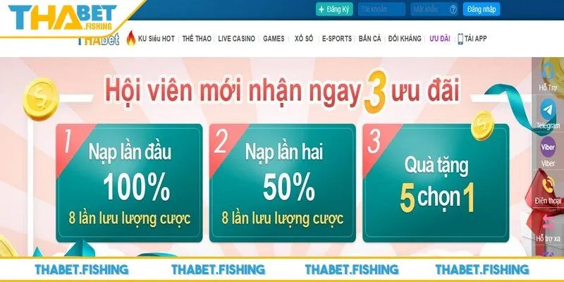 Đăng ký THABET 1 Game thủ đăng ký THABET thành công sẽ nhận được nhiều lợi ích thiết thực