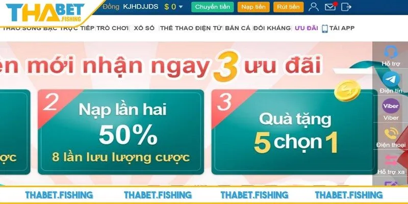 Nạp tiền THABET 1 Tầm quan trọng của việc nạp tiền THABET