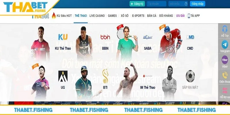 Cá cược thể thao thu hút đông đảo game thủ nhờ sự phong phú, cạnh tranh cao